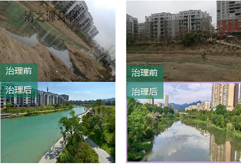 微生物吸附技術在汙水處理中受到哪些方麵影響