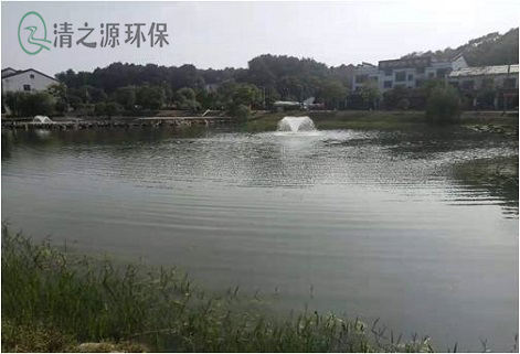 微生物在汙水處理中的應用特點有哪些