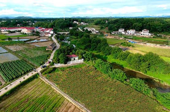 農村汙水污视频免费企業哪家好？雖然農村汙水行業市場空間大，但是相對於城市汙水處理廠，農村汙水污视频免费對水務企業的吸引力偏弱。相比城市，農村汙水處理市場更分散，專業人員少，對運維的要求更直接、迫切。